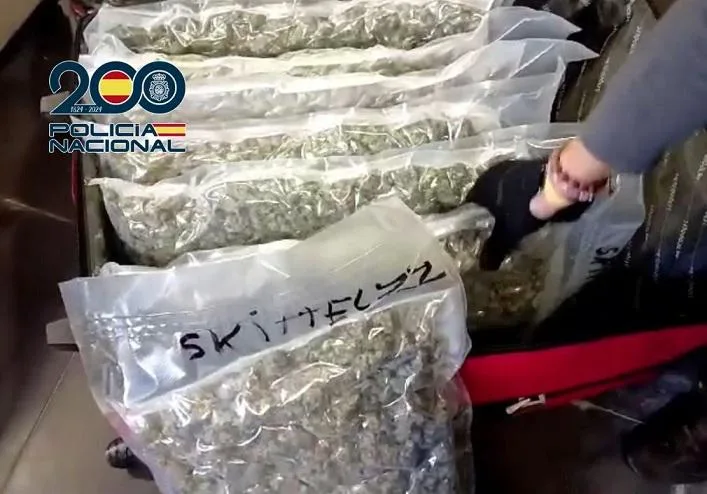 Bolsas transparentes con material vegetal en una imagen difundida por la Policía Nacional.